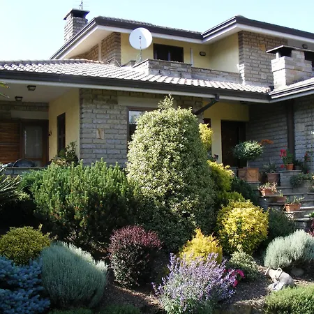 Le Palme Bassano Romano